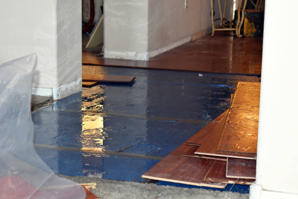 Professional Burst Pipe Cleanup technician working in Woodlake, VA